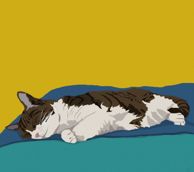 s1